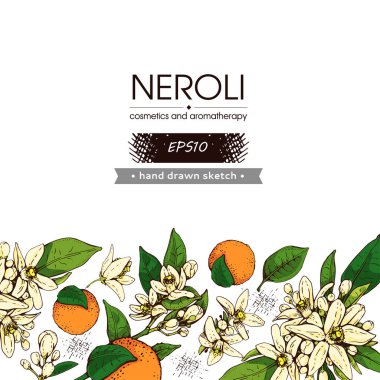 Background with bitter orange flowers, buds, fruits . Detailed hand-drawn sketches, vector botanical illustration. clipart