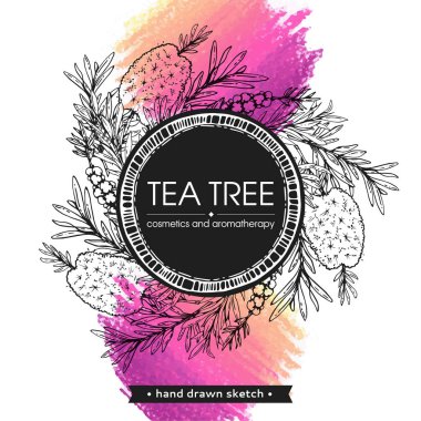 Dalları, yaprakları ve çay ağacı çiçekleri olan bir çerçeve. Detaylı el çizimleri, vektör botanik çizimler. 