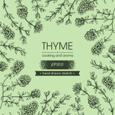 Background filled with twig of thyme with leaves and flowers and with empty circle inside. clipart