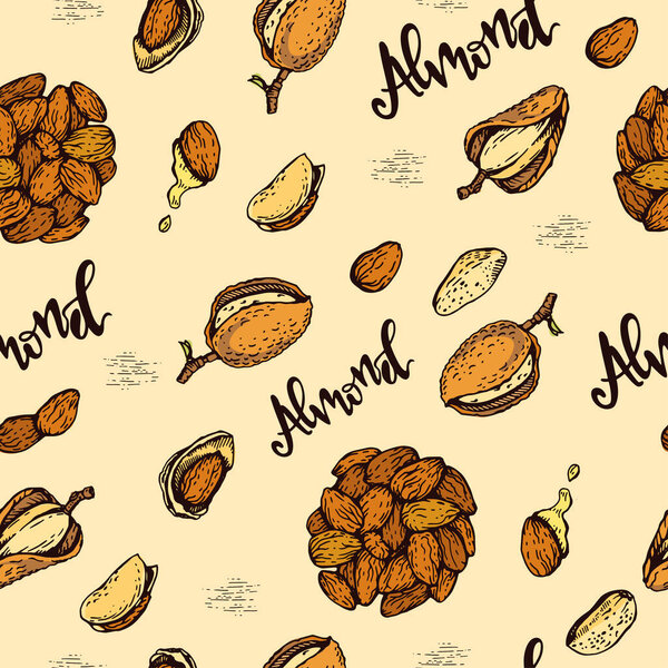 Seamless Pattern with Almond kernels of nuts. 