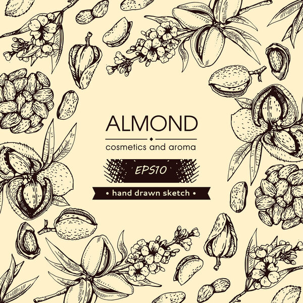 Background filled with Almond kernels of nuts and a branch of almonds with nuts, fruits, flowersand with empty circle inside. 
