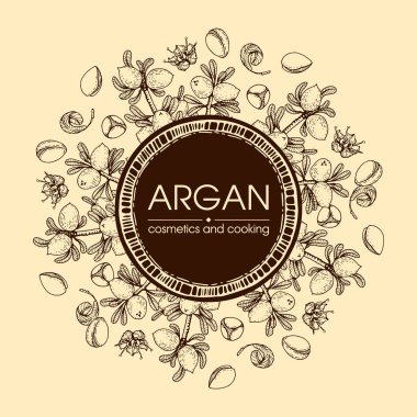 Üzerinde meyve, fındık, argan ağacı, arpa, yaprak, çiçek argümanları olan çerçeve elle çizilmiş çizimler, vektör botanik illüstrasyonu.  