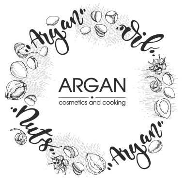 Argan ağacında meyve, fındık arması, yapraklar, çiçek argümanları ve yağlı cam şişe ve elle çizilmiş çizimler ve harflerle, vektör botanik çizimi. 