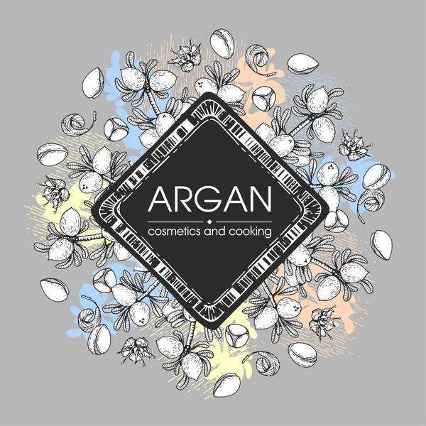 Üzerinde meyve, fındık, argan ağacı, arpa, yaprak, çiçek argümanları olan çerçeve elle çizilmiş çizimler, vektör botanik illüstrasyonu.  