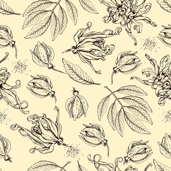 Çiçekli Ylang Ylang Yapraklı Kusursuz Desen Detaylı Çizimleri Vektör Botanik — Stok Vektör