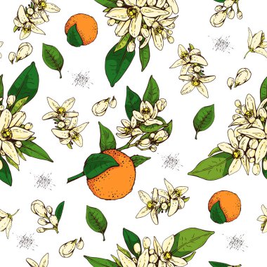Seamless Pattern with bitter orange flowers, buds, fruits . Detailed hand-drawn sketches, vector botanical illustration. clipart