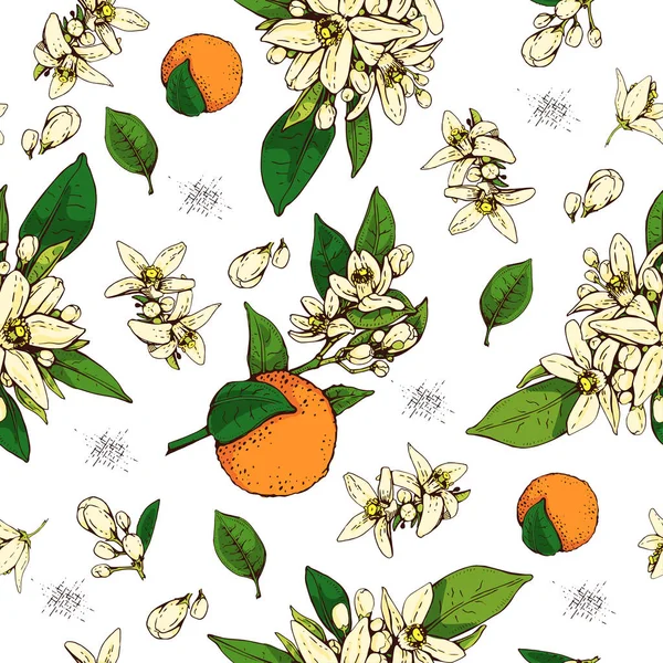 Bezešvý Vzor Hořkými Oranžovými Květy Poupaty Ovocem Detailní Ručně Kreslené — Stockový vektor