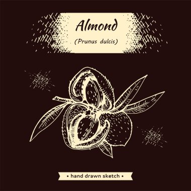 Cevizli, meyveli badem dalıyla. 