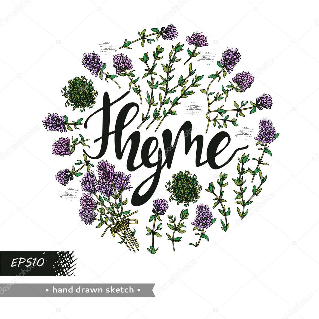 Circle filled twig of thyme with leaves and flowers and lettering Thyme.  