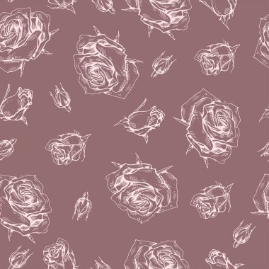 Gül desenli kusursuz desen. Detaylı el çizimleri, vektör botanik çizimler.