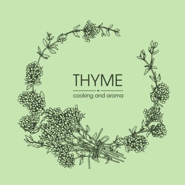 Kekik dalıyla çerçevelenmiş Yapraklar ve çiçeklerle . 