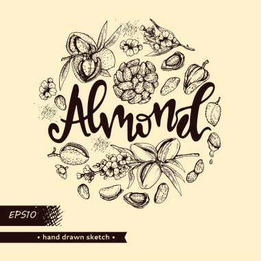 Çember fındık çekirdeklerini ve badem dalını fındık, meyve, çiçek ve badem harfleriyle doldurdu..