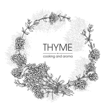 Frame with twig of thyme with leaves and flowers .  clipart