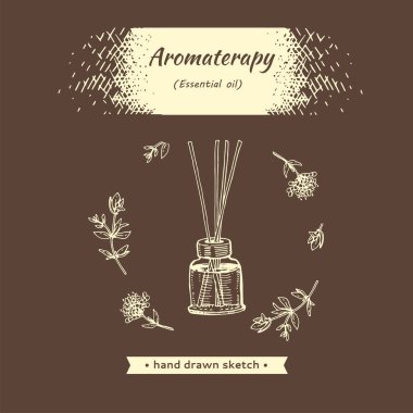 Aromaterapi aksesuarı. Ayrıntılı el çizimi çizimler