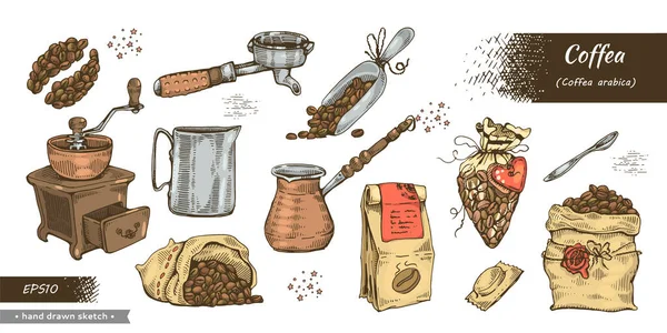 Koffie Arabica Koffie Gereedschap Kleur Cafeïnekorrel Gedetailleerde Handgetekende Schets Vectorillustratie — Stockvector