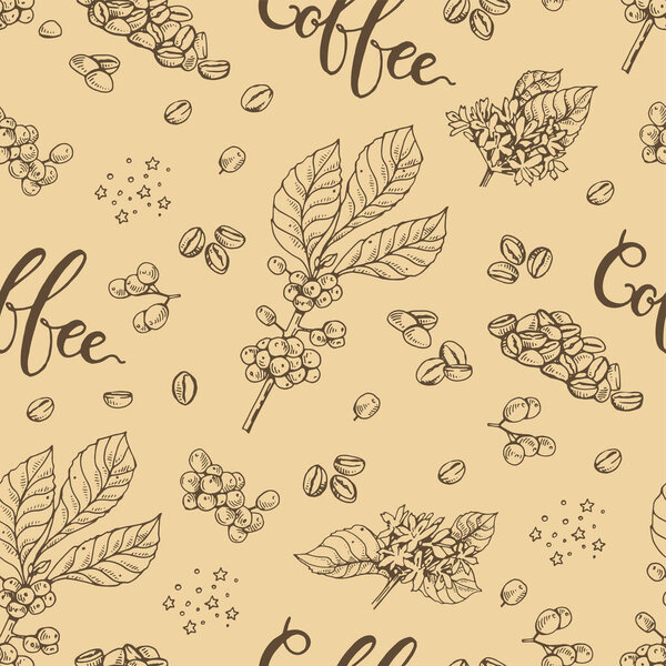 Бесшовный узор с ветвями кофейных деревьев, цветами и надписями. Линейный ручной эскиз, монохромная векторная ботаническая иллюстрация.