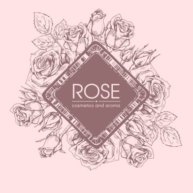 Roses 'la çerçeve. Detaylı el çizimleri, vektör botanik çizimler
