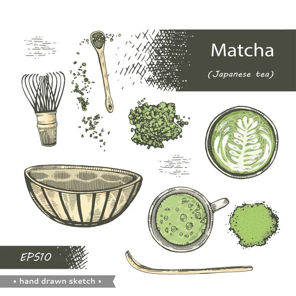 Çizimi Eskiz Matcha Japon Çayı Matcha Pudralı Vektör Illüstrasyonu — Stok Vektör