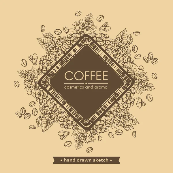 Tér Kávé Felirattal Kávéágakkal Babbal Körülvéve Lineáris Kézzel Rajzolt Vázlat — Stock Vector