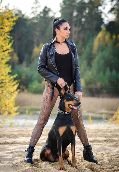 Сексуальная Женщина Пиджаке Чулках Позирует Собакой Доберманом — стоковое фото