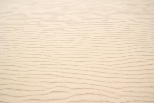 모래 배경 텍스처 — 스톡 사진
