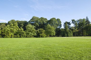 Yaz park peyzaj