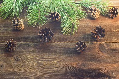 Çamın dalları ve koniler ahşap arka plan üzerinde