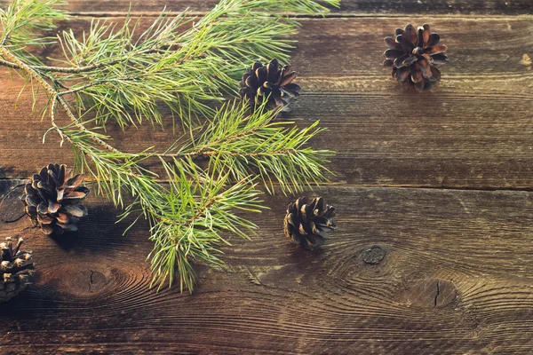 Pine grenar och kottar på trä bakgrund — Stockfoto