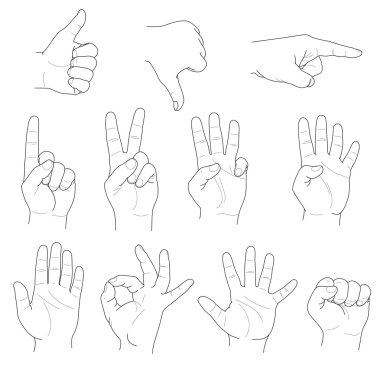 el hareketleri ve numaraları