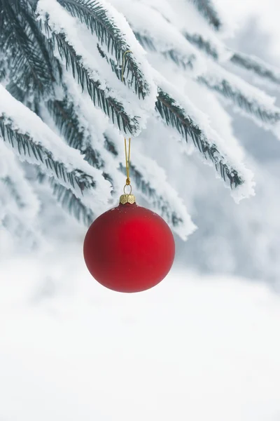 Christmas bauble hanging on a snowy tree — Stock Photo, Image