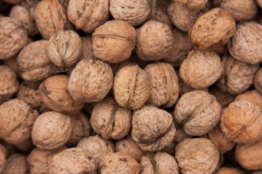 Ceviz hasat elma kutusunda