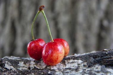 taze kırmızı kiraz