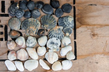 Natürmort kabukları