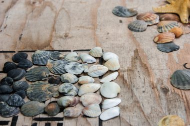 Natürmort kabukları