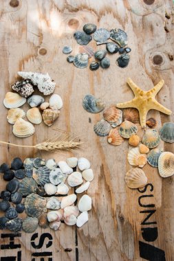 Natürmort kabukları