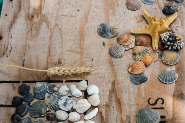 Natürmort kabukları