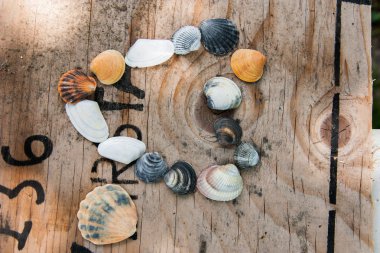 Natürmort kabukları