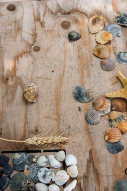 Natürmort kabukları