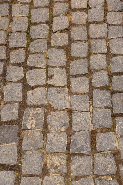 Paving stone texture — Stock Photo, Image