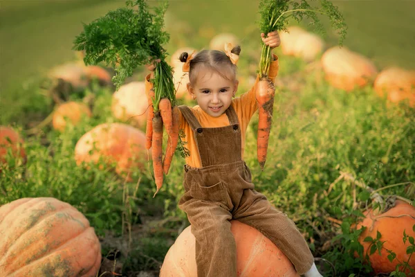 Een Meisje Een Veld Met Pompoenen Houdt Een Wortel Haar — Stockfoto