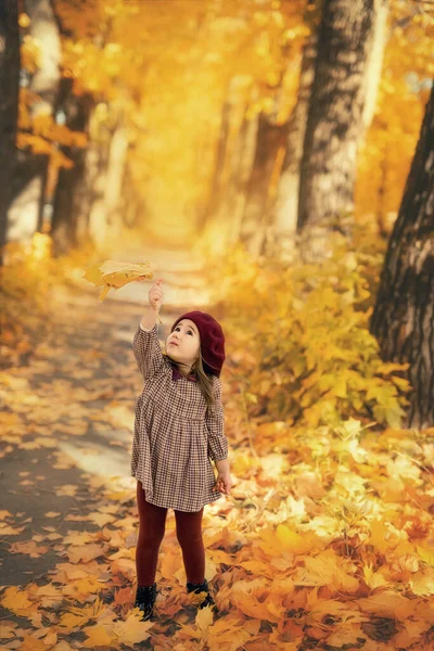 Felice Bambina Autunno Acero Foglie Arancio — Foto Stock