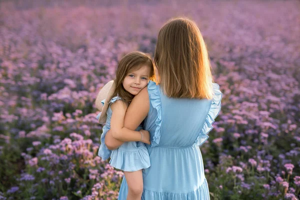 자주색 꽃들이 들판에 소녀는 어머니를 부드럽게 껴안는다 엄마는 밭에서 — 스톡 사진