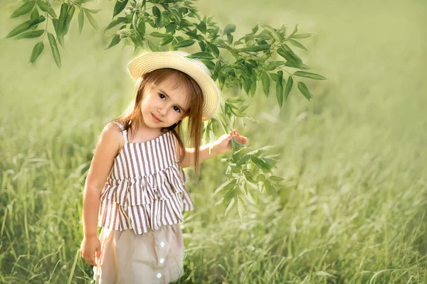 Gadis Kecil Topi Berdiri Padang Rumput Dan Memegang Cabang Pohon — Stok Foto