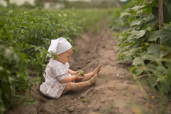 Niño Sucio Sin Lavar Campo Donde Crecen Los Pepinos Verduras — Foto de Stock