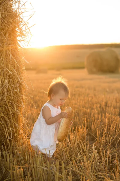 Маленькая Девочка Поле Рядом Стогом Сена Ребенок Держит Руках Хлеб — стоковое фото