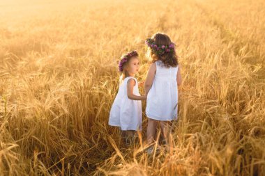 Elinde yonca çelengi olan iki kız buğday tarlasında el ele koşuyor. İki kız kardeşin dostluğu. Gün batımında altın bir buğday tarlası. Dikiz aynası. Doğayla birlik.