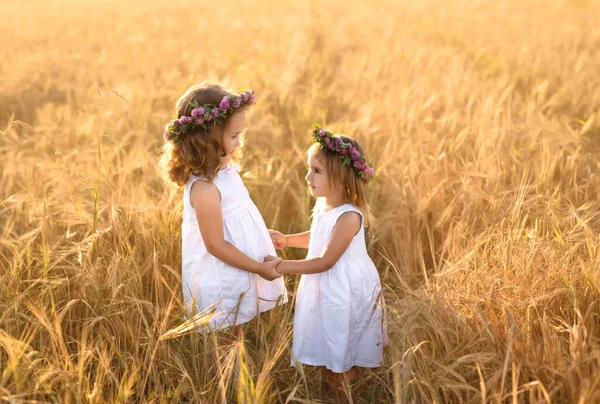 Dos Muchachas Con Coronas Trébol Toman Mano Campo Trigo Atardecer —  Fotos de Stock