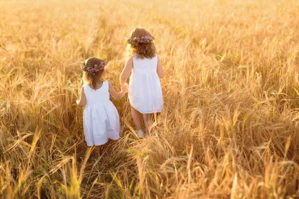 Дві Дівчини Віночками Конюшини Біжать Рукою Полі Пшениці Дружба Двох — стокове фото