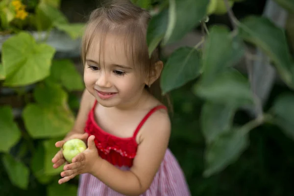 Uma Menina Com Uma Maçã Verde Não Madura Suas Mãos — Fotografia de Stock