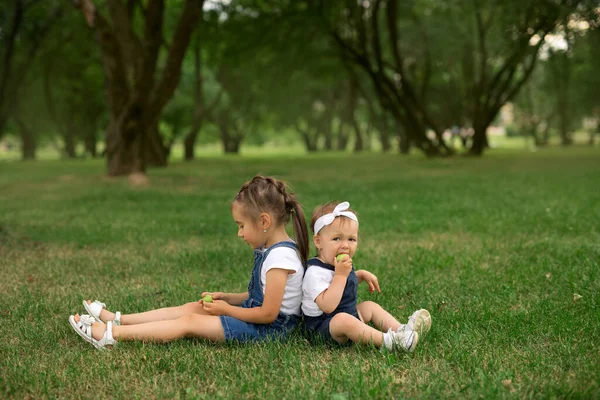 Dua Saudara Perempuan Duduk Taman Rumput Dan Makan Apel Piknik — Stok Foto